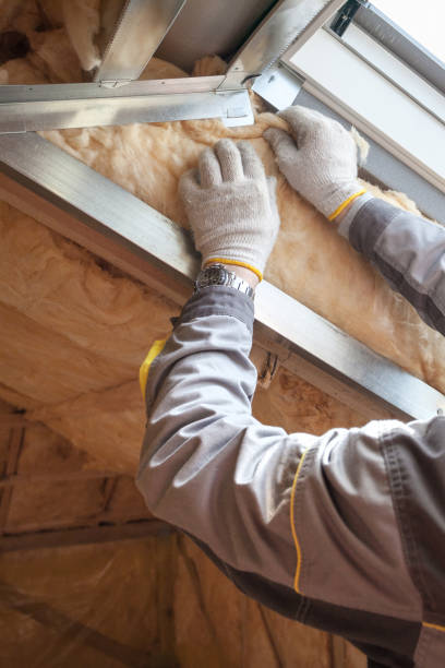 Best Local Insulation Services  in Greendale, WI