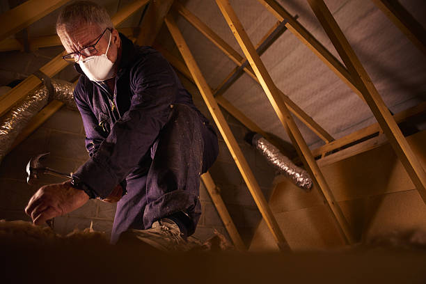 Best Insulation for New Construction  in Greendale, WI